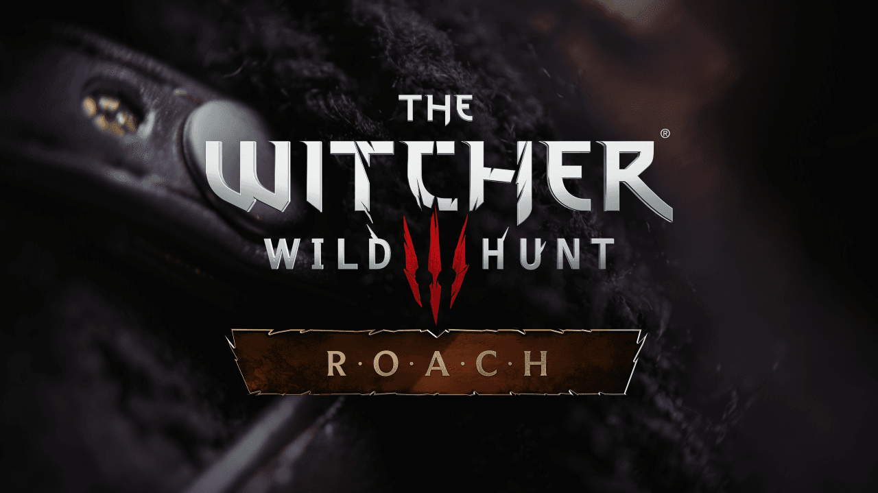 Ogłaszamy projekt P.Ł.O.T.K.A.!